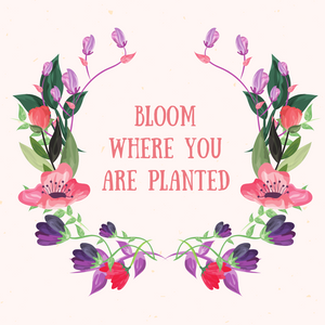 Are You Blooming Where You're Planted?